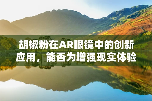 胡椒粉在AR眼镜中的创新应用，能否为增强现实体验增添‘辣味’？