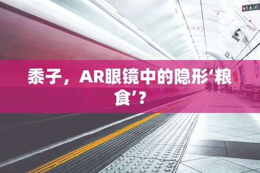 黍子，AR眼镜中的隐形‘粮食’？