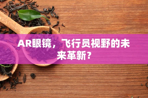 AR眼镜，飞行员视野的未来革新？