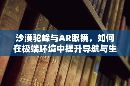 沙漠驼峰与AR眼镜，如何在极端环境中提升导航与生存体验？