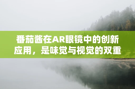 番茄酱在AR眼镜中的创新应用，是味觉与视觉的双重盛宴吗？