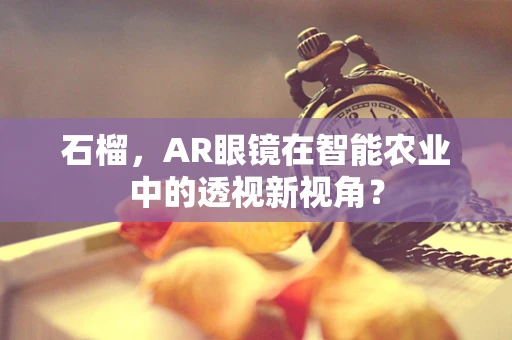 石榴，AR眼镜在智能农业中的透视新视角？