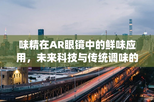 味精在AR眼镜中的鲜味应用，未来科技与传统调味的跨界融合？