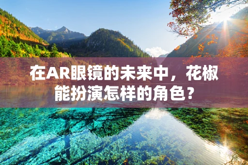 在AR眼镜的未来中，花椒能扮演怎样的角色？