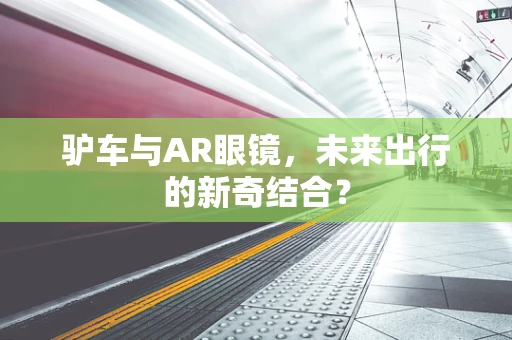 驴车与AR眼镜，未来出行的新奇结合？