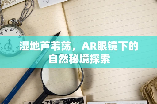 湿地芦苇荡，AR眼镜下的自然秘境探索