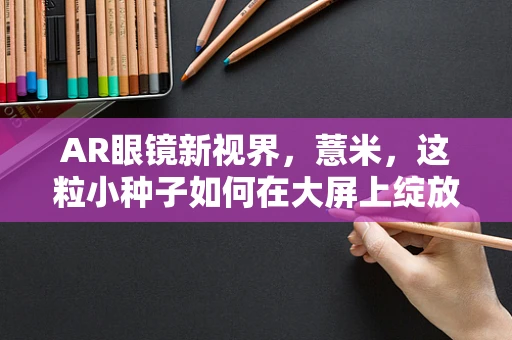 AR眼镜新视界，薏米，这粒小种子如何在大屏上绽放科技之花？
