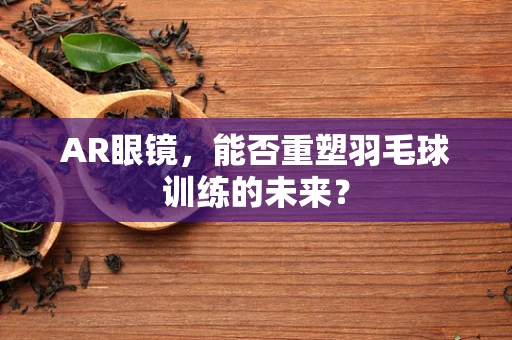 AR眼镜，能否重塑羽毛球训练的未来？