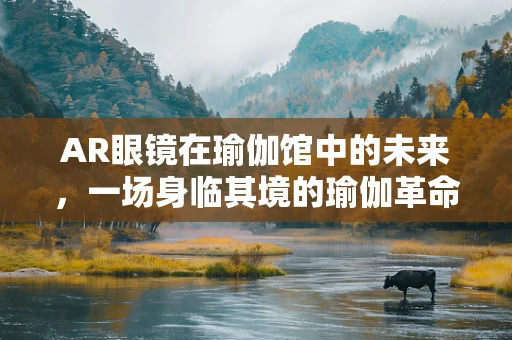 AR眼镜在瑜伽馆中的未来，一场身临其境的瑜伽革命？
