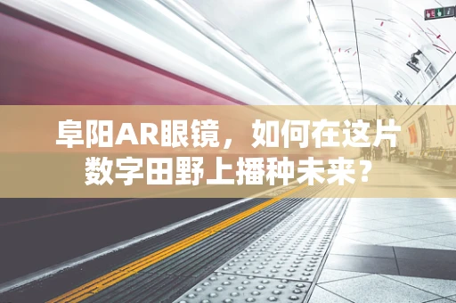 阜阳AR眼镜，如何在这片数字田野上播种未来？