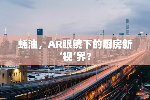 蚝油，AR眼镜下的厨房新‘视’界？