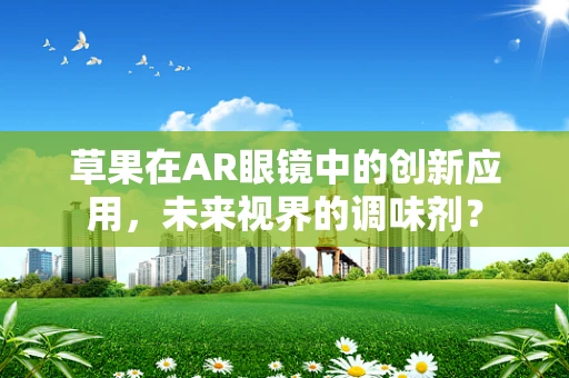草果在AR眼镜中的创新应用，未来视界的调味剂？