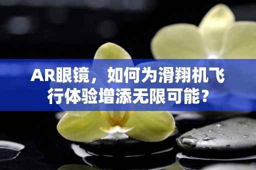 AR眼镜，如何为滑翔机飞行体验增添无限可能？