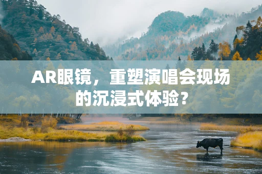 AR眼镜，重塑演唱会现场的沉浸式体验？