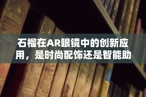 石榴在AR眼镜中的创新应用，是时尚配饰还是智能助手？