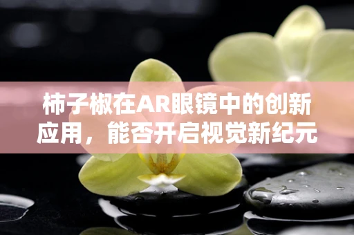 柿子椒在AR眼镜中的创新应用，能否开启视觉新纪元？