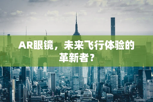 AR眼镜，未来飞行体验的革新者？