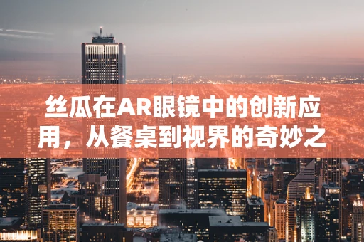 丝瓜在AR眼镜中的创新应用，从餐桌到视界的奇妙之旅？