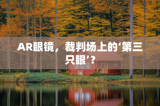 AR眼镜，裁判场上的‘第三只眼’？