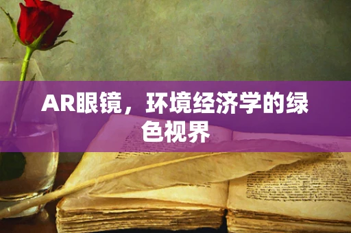 AR眼镜，环境经济学的绿色视界