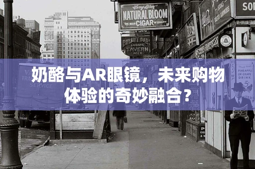 奶酪与AR眼镜，未来购物体验的奇妙融合？