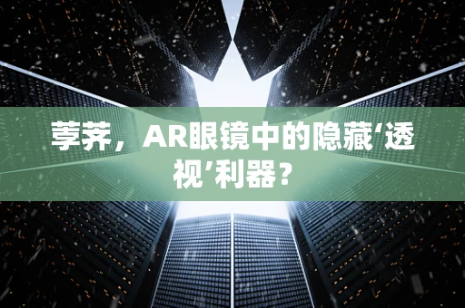 荸荠，AR眼镜中的隐藏‘透视’利器？