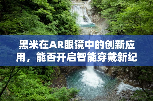黑米在AR眼镜中的创新应用，能否开启智能穿戴新纪元？