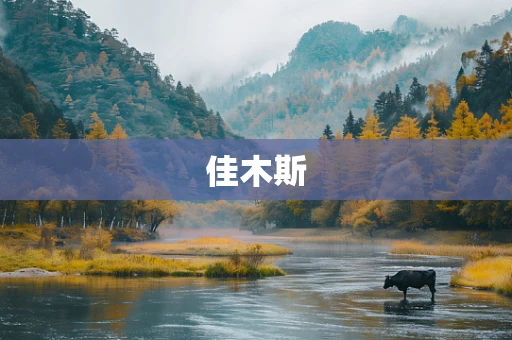 佳木斯