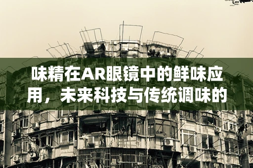 味精在AR眼镜中的鲜味应用，未来科技与传统调味的跨界融合？