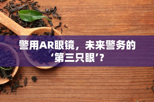 警用AR眼镜，未来警务的‘第三只眼’？
