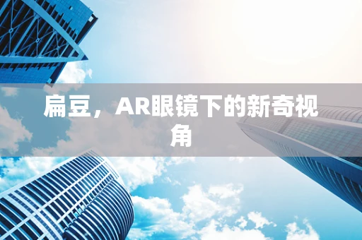 扁豆，AR眼镜下的新奇视角