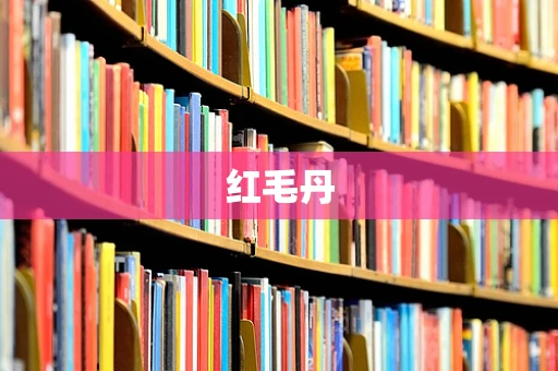 红毛丹