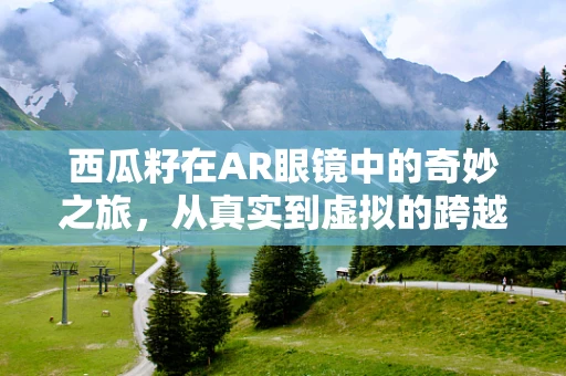 西瓜籽在AR眼镜中的奇妙之旅，从真实到虚拟的跨越
