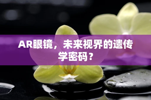 AR眼镜，未来视界的遗传学密码？