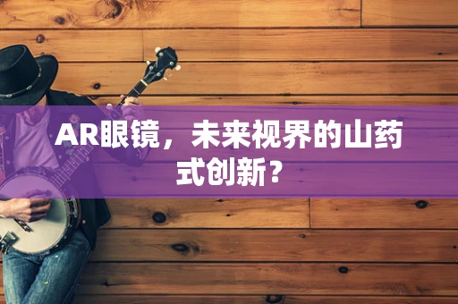 AR眼镜，未来视界的山药式创新？