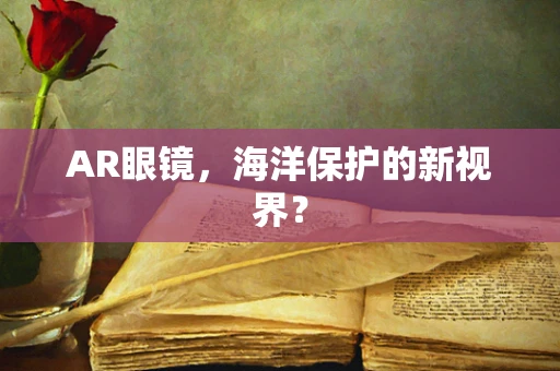 AR眼镜，海洋保护的新视界？