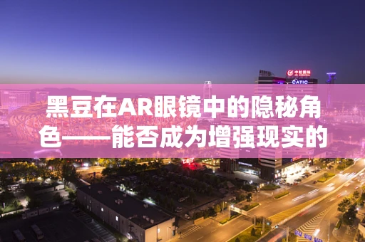 黑豆在AR眼镜中的隐秘角色——能否成为增强现实的新亮点？