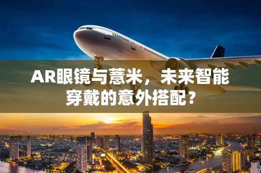 AR眼镜与薏米，未来智能穿戴的意外搭配？