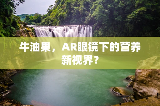 牛油果，AR眼镜下的营养新视界？