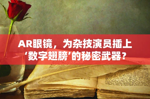 AR眼镜，为杂技演员插上‘数字翅膀’的秘密武器？