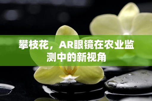 攀枝花，AR眼镜在农业监测中的新视角