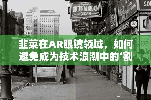 韭菜在AR眼镜领域，如何避免成为技术浪潮中的‘割韭菜’对象？