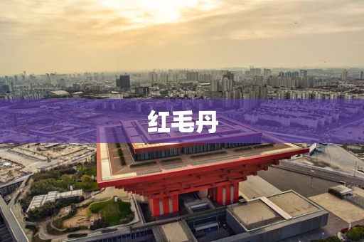 红毛丹
