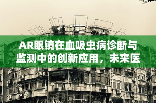 AR眼镜在血吸虫病诊断与监测中的创新应用，未来医疗的‘透视’之眼？