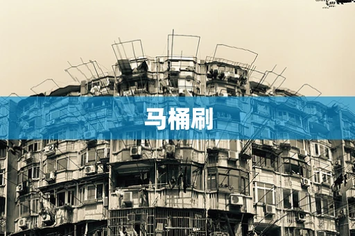 马桶刷