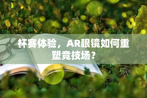 杯赛体验，AR眼镜如何重塑竞技场？