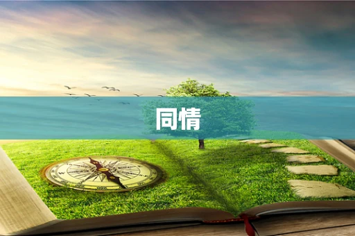 同情