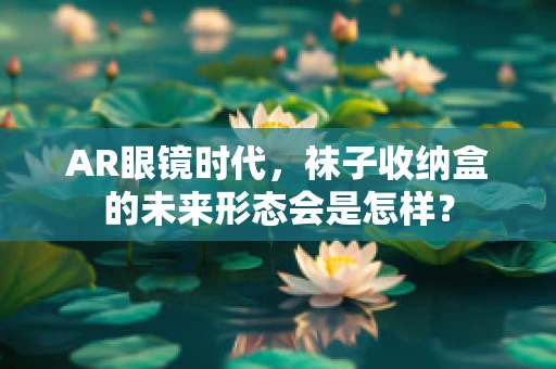 AR眼镜时代，袜子收纳盒的未来形态会是怎样？