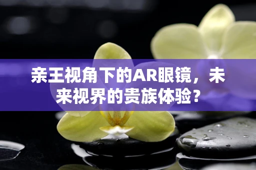 亲王视角下的AR眼镜，未来视界的贵族体验？