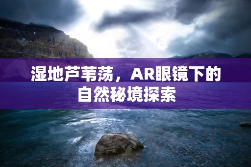 湿地芦苇荡，AR眼镜下的自然秘境探索